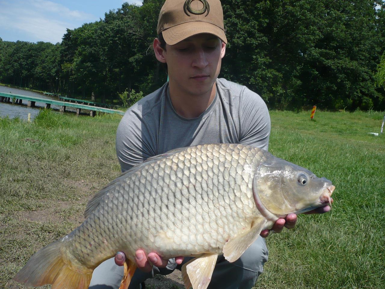 MV2 - 06.IUN.2014 - p1020436.JPG